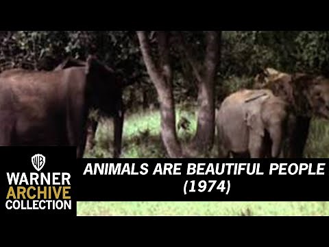 Original Theatrical Trailer | Animals are Beautiful People | Warner Archive