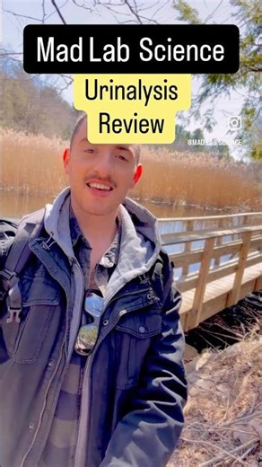 Urinalysis Review - Orange Urine