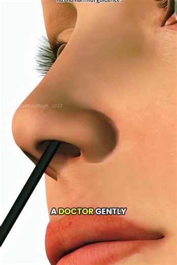 Understanding Balloon Sinuplasty: A Solution for Blocked Sinuses