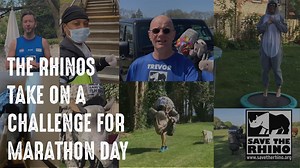 1.8K views · 61 reactions | The rhinos should have been charging...