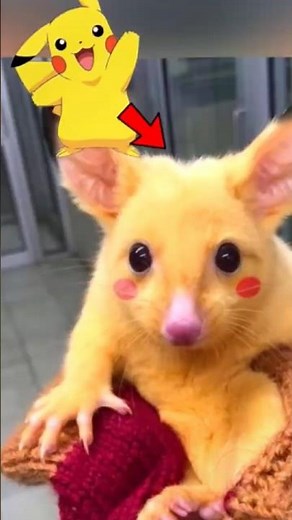 These Pokémon Are WAY Too Real 😳⚡