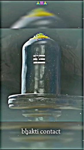 Yak stri par itna gussa kharta hua 🌺 #shorts