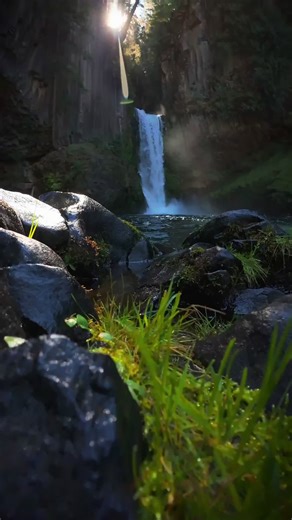 Moving over grass and moss-covered rocks, drawn toward a magnificent waterfall cascading in the distance—nature’s beauty and power perfectly intertwined 😍 #nature #outdoors #cinematic #calm #waterfall