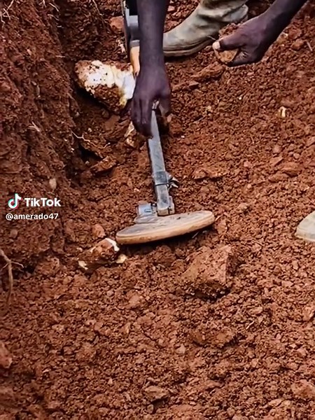 Close-Up of Digging with a Hand-Held Shovel