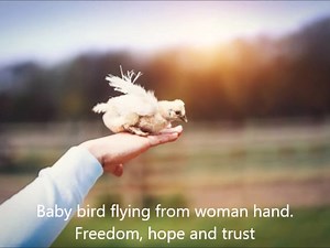 Learning to Fly - Tom Petty cover - Recorded 6 29 25 - | Mike Whitney Music