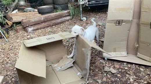 kimberley Outback Adventures on TikTok