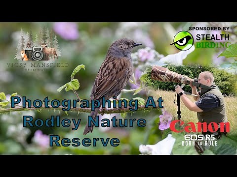 Rodley Nature Reserve Yorkshire || Birds & Insects