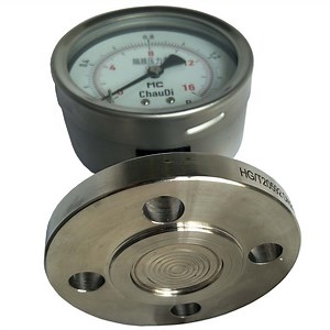 [Hot Item] 316L Diaphragm 100mm Stainless Steel Diaphragm Pressure Gauge for Hydraulic Measurement