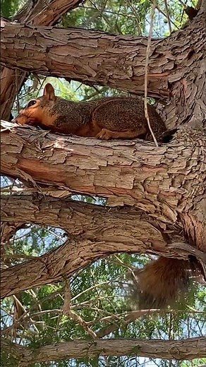 Loving nature at Beloit City Rv Park in Beloit Kansas