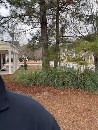 💜✨💚✨💖 #exodus_alpha #ascension #ascend #angels #extradimensionals #interdimensional #stateofbeing #lightworker #starseed #christconsciousness #newearth #mindfulness #multiverse #gratitude #spiritualjourney #spiritual #akashicrecords #reincarnation #starseeds #ancientknowledge #spiritualawakening #consciousness #5d #spiritualawakening101 #lightbeings #beliefscreatereality #fyp #newearth #newearthfrequency #virtualreality #sourceenergy1 #3iatlas #ufo #alien #aliens #orbs #ufocommunity #ufotikto