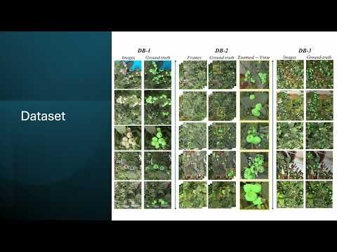 AgriVision: A Benchmark Dataset for Advancing Real-World Robotic Vision in Fruited Blueberry crops