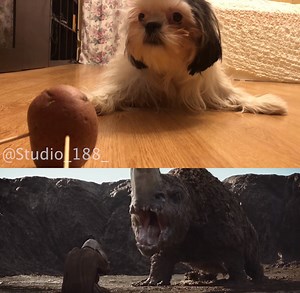 The Mandalorian (Scene with rhino) low cost version Subscribe to our new group, it is made to monitor our content. In this group, monitoring is not possible. Thank you https://www.facebook.com/pg/Studio188Lowcost You can support us on PayPal: m232361zh@gmail.com Екатерина Antonio Lopez Fernandez Chris Newell Darrel Morrone Anna Zenadze thanks for the support on Patreon! Jonathan Gabriel thanks for the support (10$) on Patreon. JSON Bourne thanks for the support (10$) on Patreon. Elena thanks for