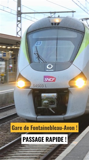 🚆TRAIN : PASSAGE RAPIDE À FONTAINEBLEAU-AVON SNCF #train #speed #railway #sound #station #ambiance