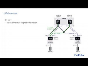 Nokia SR Linux Interfaces: LLDP