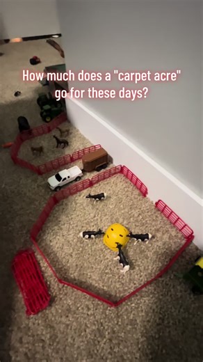 Understanding Carpet Farming: Costs and Insights