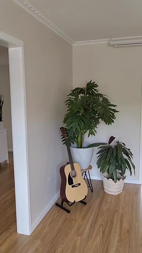 210K views · 15K reactions | Asian Mom Insults #asian #asiancomedy #comedy #asianmom #fbviral #funnyreels #funnyvideos #comedian #fbreels #reelsfb #tiktokviral #comedyreels #ytshorts #asians #mom #momlife | Lyanna Kea | Facebook