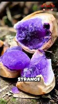 Top 5 Most Strangest Fruits on Earth That Don’t Feel Real! #fruit #strangefruit #fruitlovers