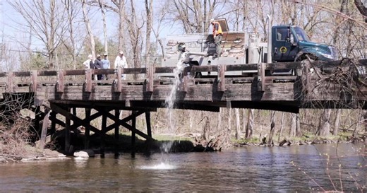 Raining Rainbow: Michigan DNR stocks Rogue River with thousands of trout