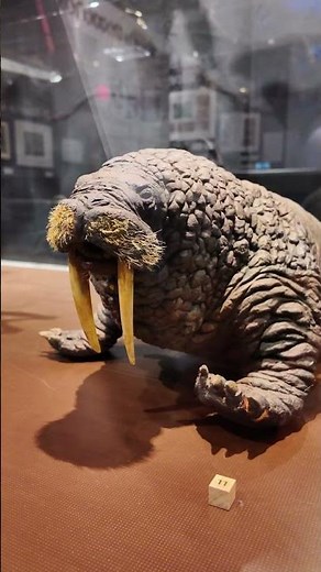 Ray Harryhausen Exhibit - Mini Time Machine Museum