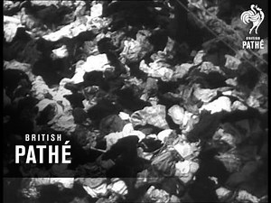 Auschwitz Concentration Camp Reel 2 (1945)