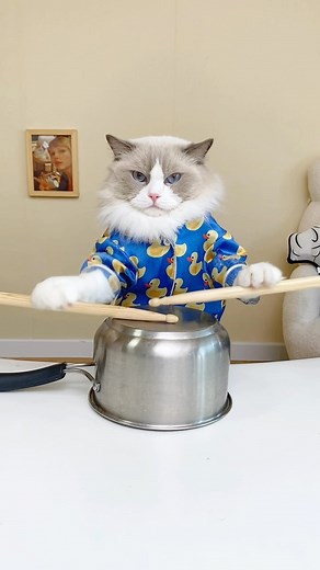 That Little Puff on Instagram: "📞🛑 Puff’s guide on handling weekend calls from the boss! #BossBoundary #WeekendWarrior #thatlittlepuff"