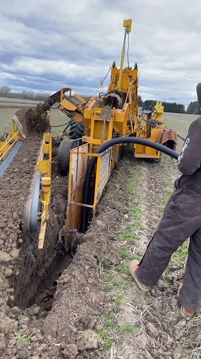 scott thompsonm on TikTok