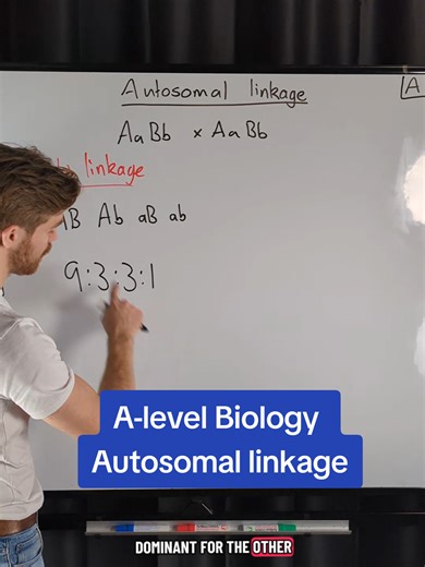 Understanding Autosomal Linkage in A-Level Biology