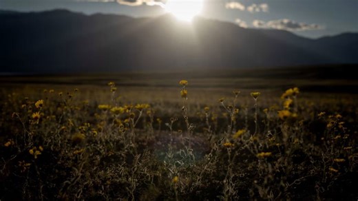 Despídete de la primavera: se avecina un importante cambio en los patrones climáticos