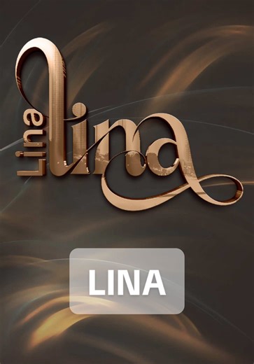 LINA Logo Signature Brand Identity Design Service