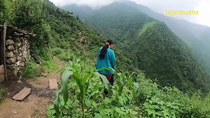 317K views · 4.6K reactions | mountain people task | Lajim Budha | Facebook