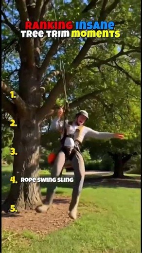 Ranking Insane Tree Trim Moments