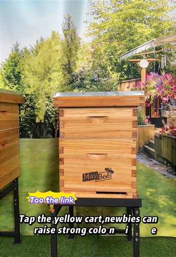 Newbie-Exclusive Beehive! No Assembly   Full Accessories, Zero Threshold for Beekeeping!#tiktokshopblackfriday #beekeepingtiktok #beginnerbeekeeper #newbeekeepers #sales #easyassemblyhive #beehive