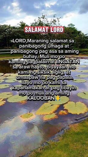 🙏🙏🙏 #MorningPrayer #prayers #prayerispower #viralreels #trendingreels #fbreelsfypシ゚ | Qoutes and meme's