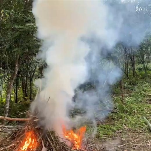Techniques for making doors and bamboo walls for wooden houses Build Log Cabin by Girl 065 | My Sengle