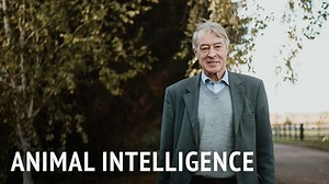 2.1K views · 53 reactions | People often have the idea that humans are extremely different from other animals, but Professor Donald Broom argues that this isn't really the case. In this short video, he looks at how research shows just how intelligent other animal species are. | Study Buddhism | Facebook
