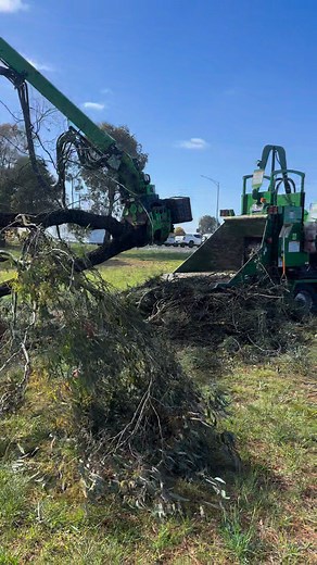 Drouin Tree Services on Reels