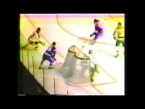 Minnesota North Stars Toronto Maple Leafs Nov. 29, 1969 Highlights