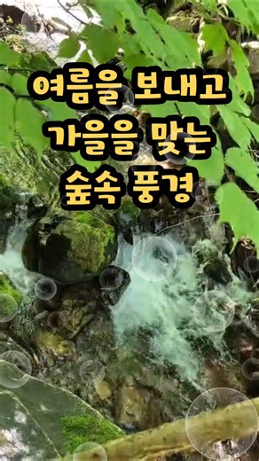 가을을 기다리는 맘 #nature #asmr #자연 #힐링영상 #물소리