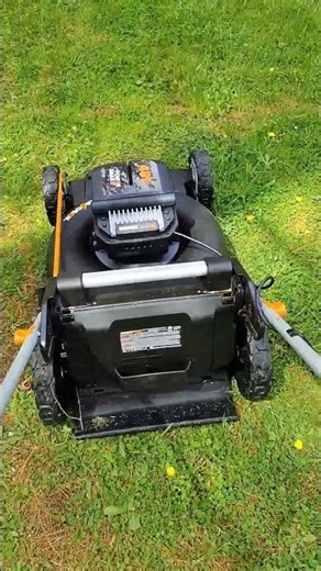 First Mow with the Worx WG752!