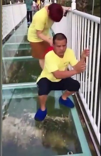 Tourists terrified of cracking glass bridge