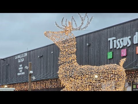 Luxembourg to France Drive | Market Vlog