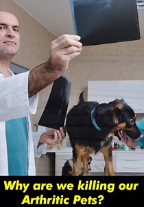 701K views · 22 reactions | In the New York Times article “Deciding...