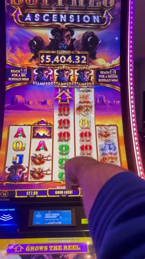 113K views · 349 reactions | Super Stampede On New Buffalo Ascension | SDGuy1234 | Facebook