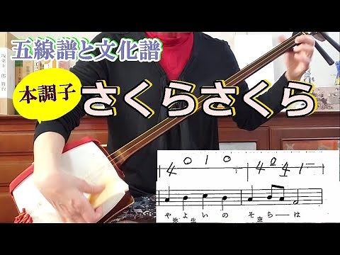 「さくらさくら」本調子を三味線で弾く。五線譜は杵屋正邦練習曲集より。文化譜の勘所は、１と４と開放弦に、１音だけ３があるのみ。初心者にオススメ。左手での弦の押さえ方、撥の弾き方のアドバイスも。＃初心者