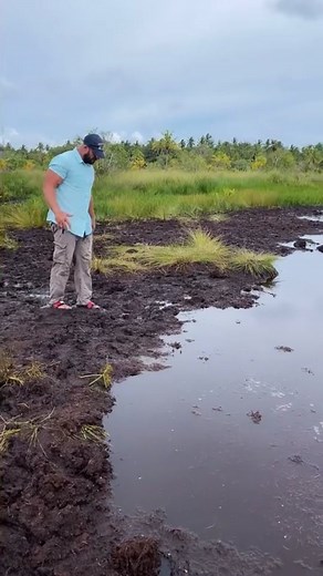 Nightmare Puddle Encounter: A Warning Story