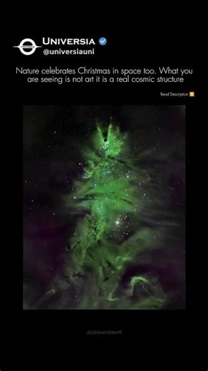 NASA Captured a Real Christmas Tree in Space