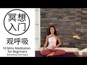 【10分钟初级冥想入门 | 观呼吸 】在呼吸之间静心养气 10 mins Meditation for Beginners | Breathing Technique