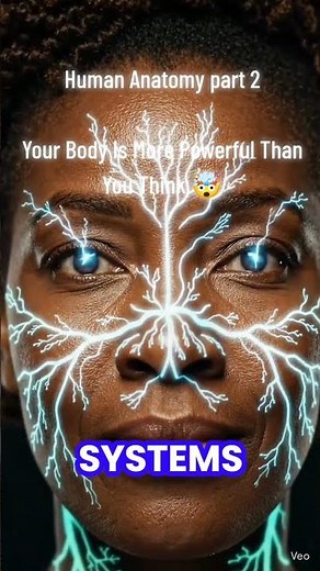 Human Anatomy Explained: How Your Body Works