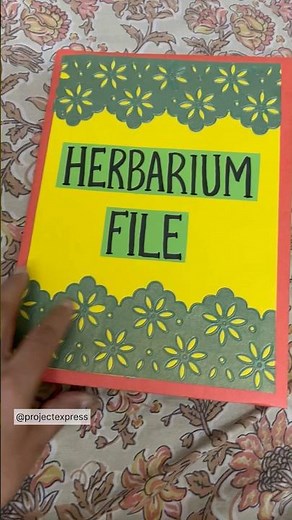 Herbarium File Project Idea 🌿 | Beautiful Biology Project for School