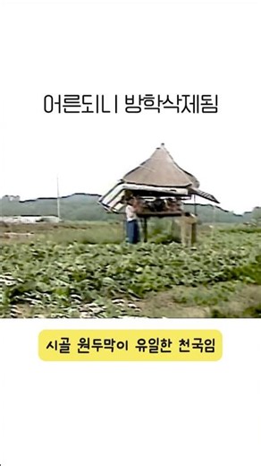 🥵40일짜리 90년대 초딩 극기캠프 실체 ㄷㄷ #90년대초딩 #여름방학